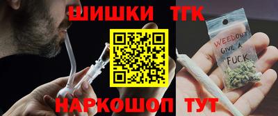 индика Обнинск
